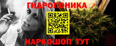 spice Гусь-Хрустальный