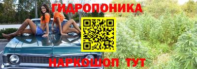 spice Гусь-Хрустальный