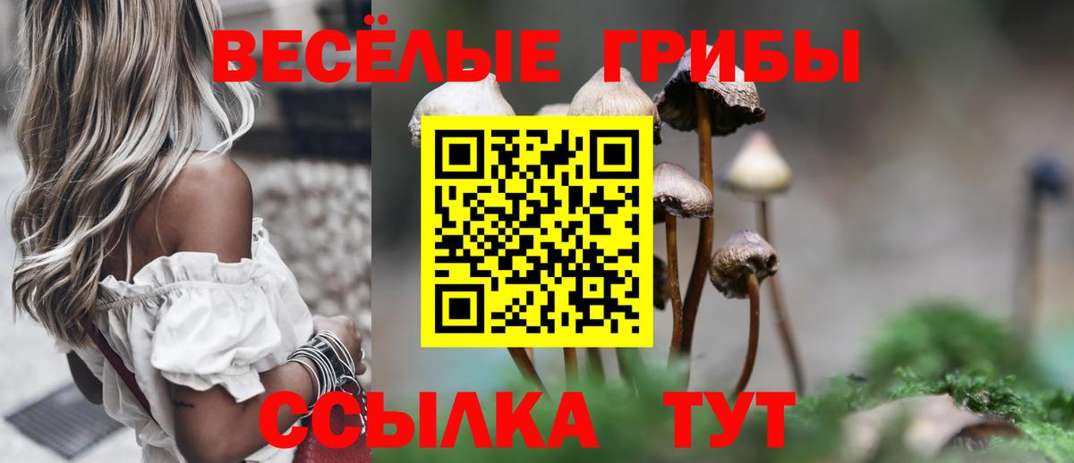 Галлюциногенные грибы Psilocybine cubensis  Вход с VPN  Лянтор 
